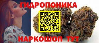 mdpv Лесосибирск