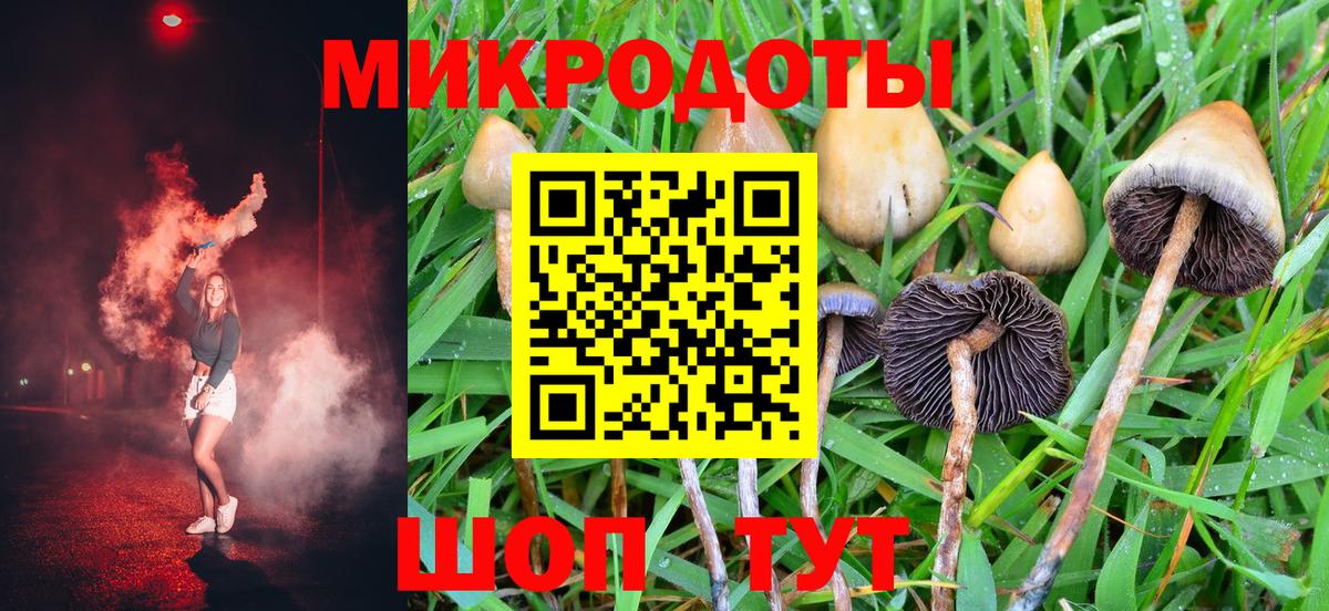Каменск-Шахтинский  Псилоцибиновые грибы Magic Shrooms  Вход с VPN  купить   Псилоцибиновые грибы ЛСД 